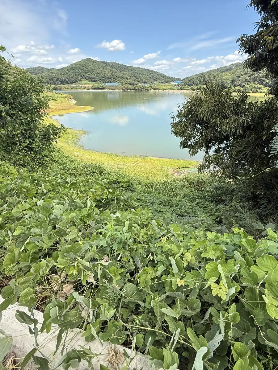 사고 지점 주변 환경 및 시야 확인