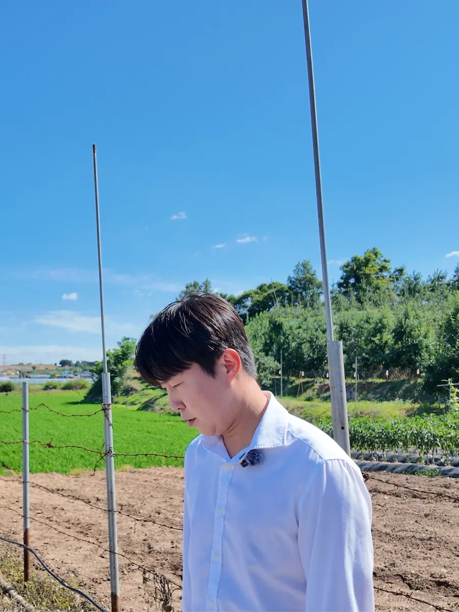 예산 사고 지점 및 주변 시야 확인