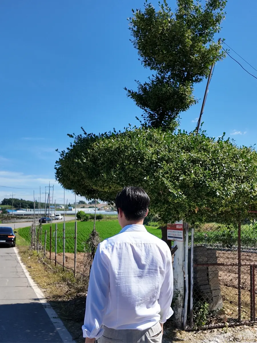 사고 지점 노면 및 갓길 상태 확인
